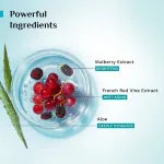 Pilgrim Red Vine Face Scrub with Mulberry & Aloe view 4