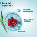 Pilgrim Red Vine Face Mist & Toner with Vitamin B3 & Aloe view 4