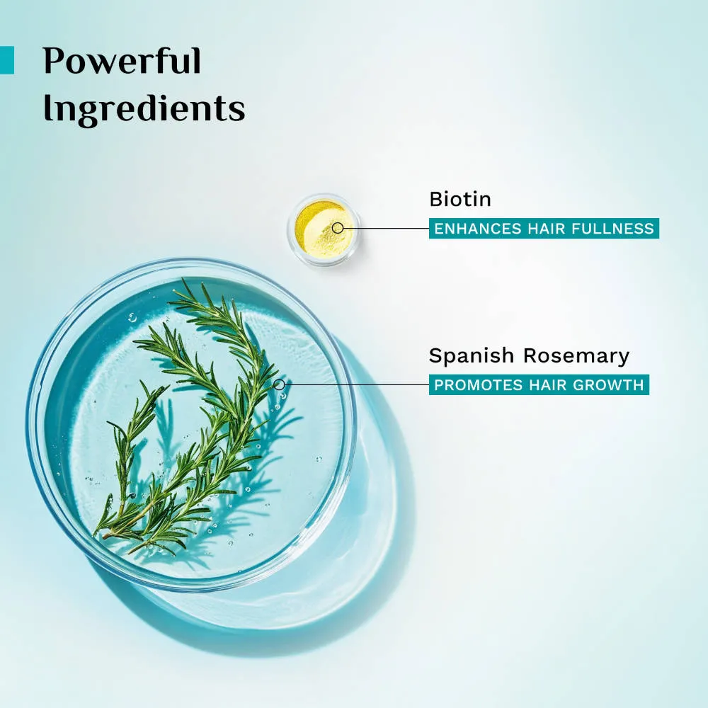 Pilgrim Spanish Rosemary & Biotin Anti-Hairfall Hair Mask - Strengthens Hair - Pack of 2