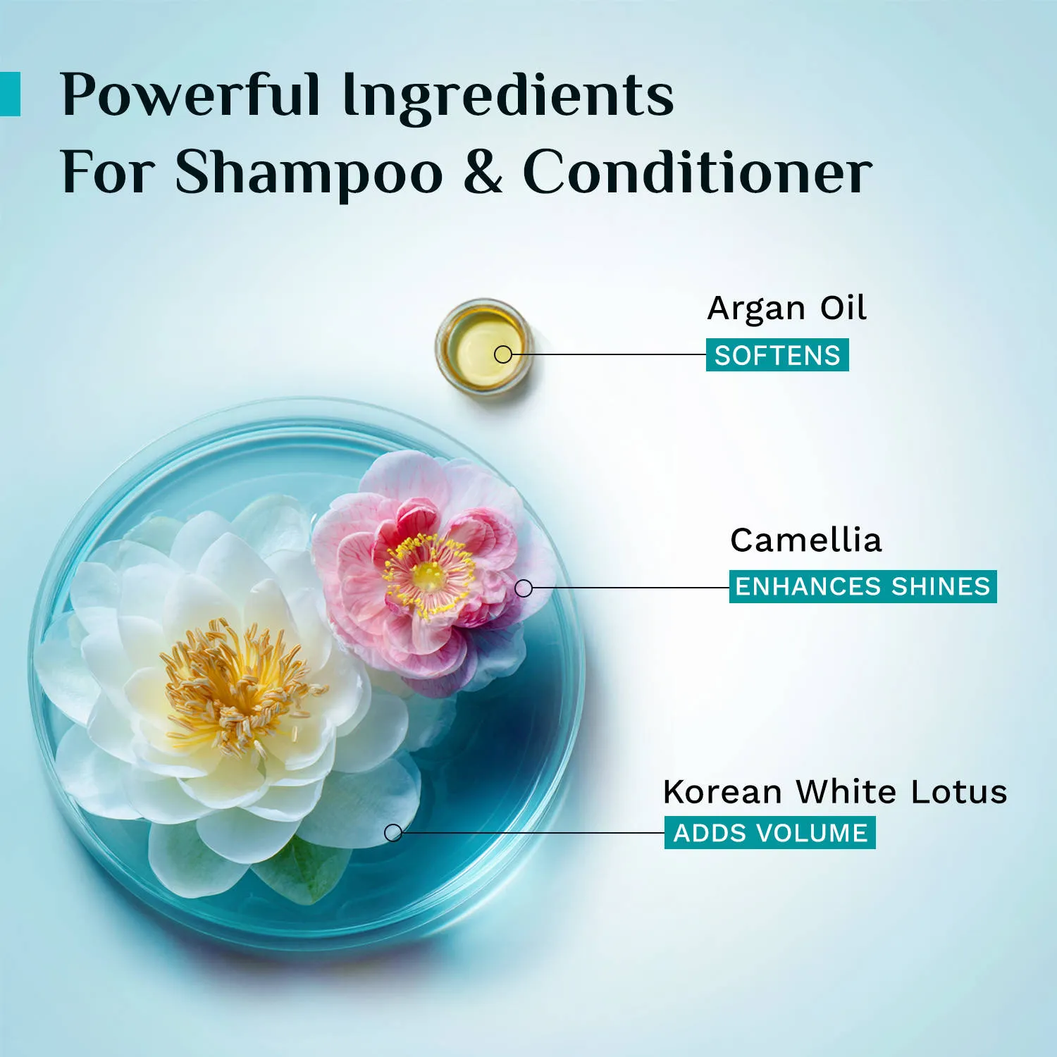 Pilgrim Hair Fall Control & Hair Growth Kit