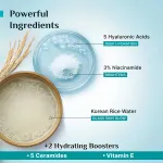 Pilgrim Korean Rice Water Hydra Glow Light Gel Moisturizer for 5x Hydration & Korean Glass Skin Glow view 14