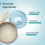 Pilgrim Korean Rice Water & 2% Niacinamide Hydra Glow Gel Face Wash Hydrated Glass Glowing Skin view 14