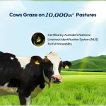 Aiwibi Premium Formula view 4