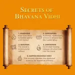 Himalaya Ayurveda Secrets Ghee Honey Lip Balm view 5