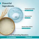 Pilgrim Hydra Glow Duo Hydra Glow Facewash & Moisturizer for Korean Glass Skin Glow, Deeply Hydrates view 4