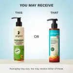Pilgrim Australian TeaTree & Salicylic Acid Anti-Dandruff Non-Drying Dandruff Control Shampoo view 2
