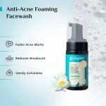 Pilgrim Salicylic (BHA) & Glycolic Acid (AHA) Foaming Face Wash view 3