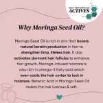 Dot & Key Argan Oil Hairfall Control Shampoo With Moringa & Keratin For Dry Hair view 7