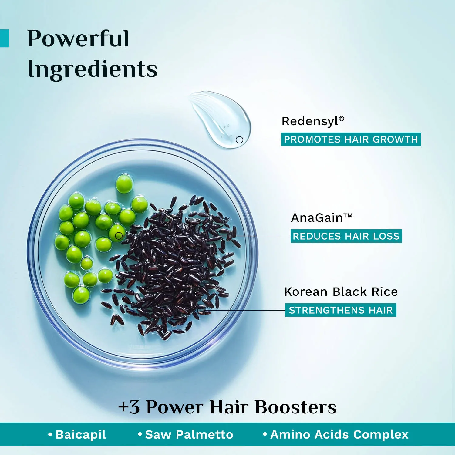 Pilgrim Redensyl & Anagain Hairfall Control Shampoo