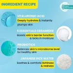 Dot & Key Blueberry Hydrate Barrier Repair Body Lotion, Long-Lasting Moisturization view 4