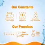 Aqualogica Glow+ Oil Free Moisturizer with Papaya & Vitamin C for Glowing Skin view 8