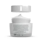Lotus Herbals Whiteglow Skin Whitening & Brightening Nourishing Night Face Cream With Niacinamide view 8