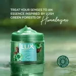 Lux Essence Of Himalayas Cedarwood Oil & Cica Gel Body Scrub view 4