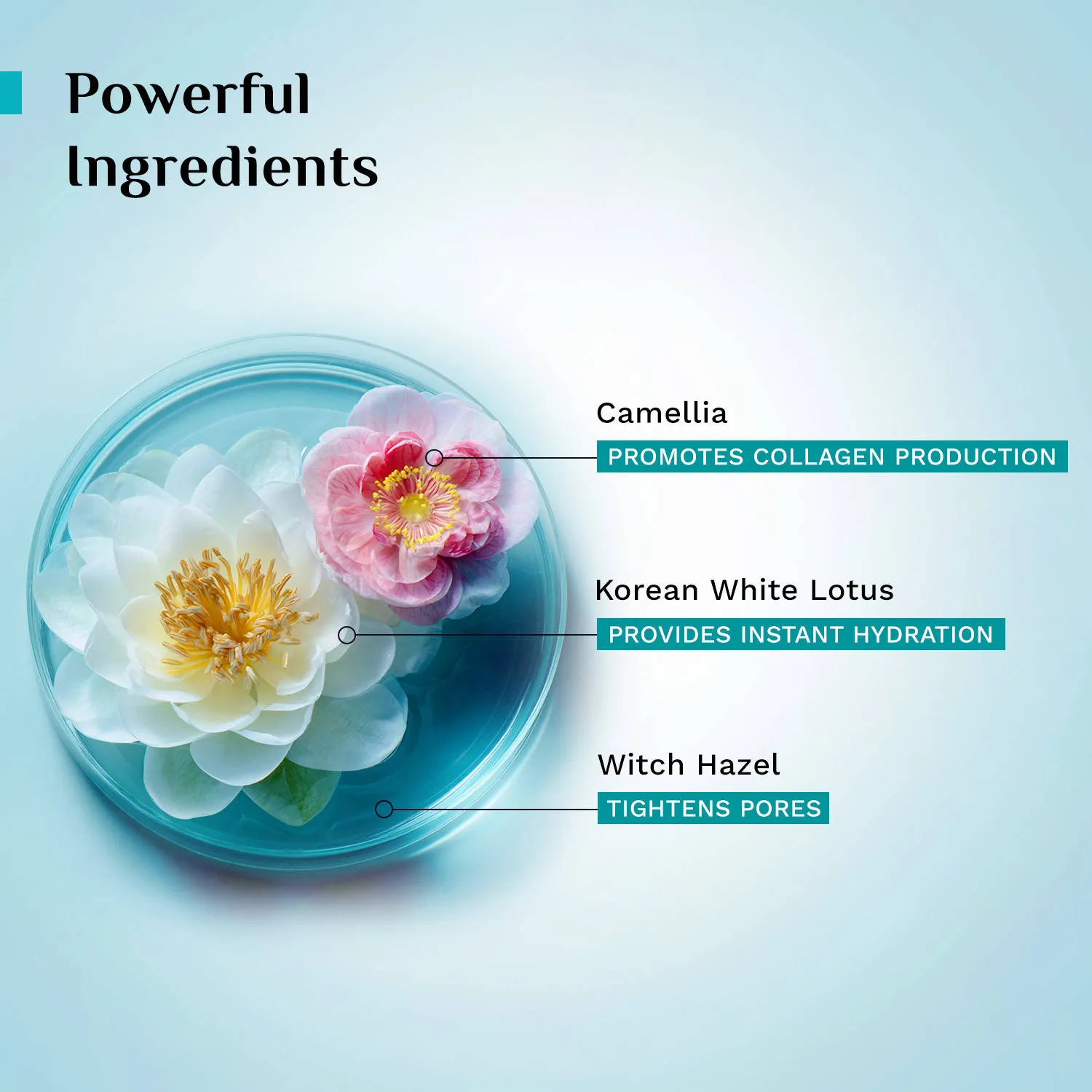 Pilgrim Korean White Lotus Face Mist Toner Camellia Hydrates, Refreshes & Tightens Pores- Pack of 2