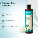 Pilgrim Argan Oil Sulphate Free Shampoo With Korean White Lotus For Shiny & Nourished Hair view 3