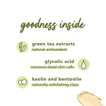 Plum Green Tea Clear Face Mask view 7