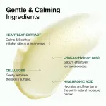 Anua Heartleaf Lha Moisture Peeling Gel with Hyaluronic Acid, Hydrating Exfoliator for Glass Skin view 3