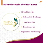 Himalaya Anti-Hair Fall Shampoo With Bhringraja & Palasha view 5