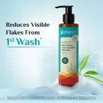 Pilgrim Scalp Care Duo Tea tree Non-Drying Anti-Dandruff Shampoo and Advance Hair Growth Serum view 4