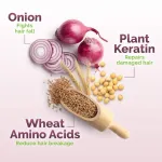 Mamaearth Onion Shampoo For Hair Growth & Hair Fall Control With Onion & Plant Keratin view 4