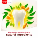 Colgate Vedshakti Toothpaste For Whole Mouth Health view 2