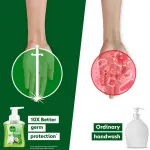 Dettol Aloe Coconut Foaming Handwash Pump view 6
