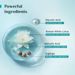 Pilgrim Salicylic (BHA) & Glycolic Acid (AHA) Foaming Face Wash view 4