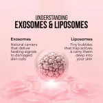 Dr. Sheth's Cica Exosomes & Vitamin C, to Glow, Brightens & Revives Dull Skin, For All Skin Types view 4