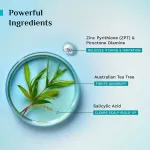 Pilgrim Tea Tree Non-Drying Anti-Dandruff Shampoo and Advance Hair Growth Serum Roll-on Combo view 5