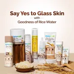 Mamaearth Rice Face Wash With Rice Water & Niacinamide for Glass Skin view 6
