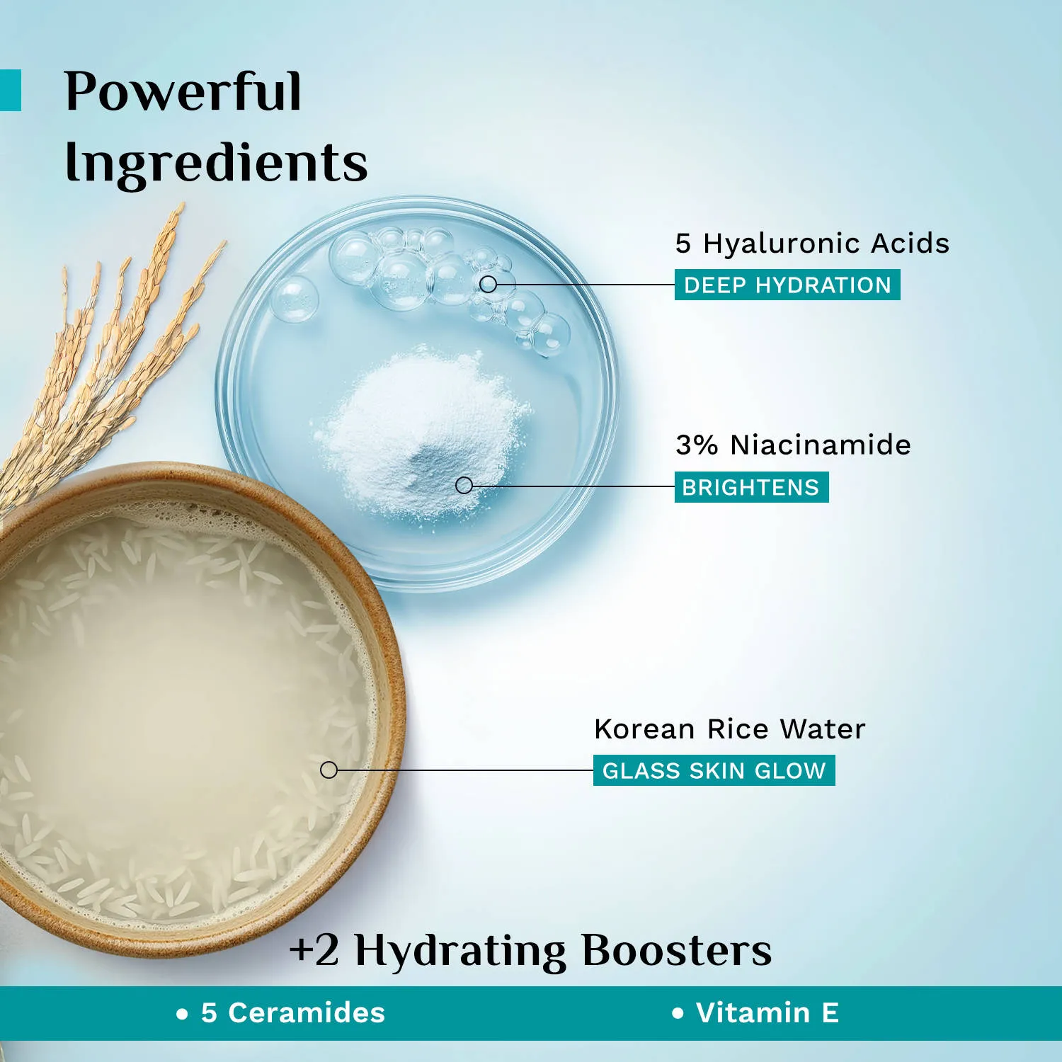 Pilgrim Korean Rice Water Hydra Glow Light Gel Moisturizer for 5x Hydration & Korean Glass Skin Glow
