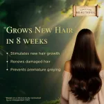 Himalaya Ayurveda Secrets Hair Growth Oil With Bringha, Hibiscus And Curry Leaf view 3
