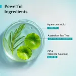 Pilgrim Tea Tree Light Non-Oily Moisturizer view 2