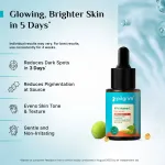 Pilgrim Brightening Power Trio Vitamin C, Niacinamide & Alpha Arbutin Serum For Glowing, Even skin view 4