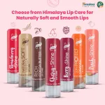 Himalaya Litchi Shine Lip Care view 7
