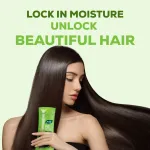 Joy Hair Dryness Control Conditioning Shampoo With Lemon & Olives view 2