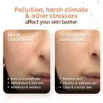 Mamaearth Chia Seed and Ceramides Oil-Free Moisturizer for a Hydrated Glow view 5
