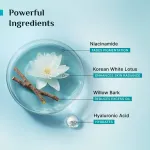 Pilgrim Oil-Free Gel Moisturiser with Hyaluronic Acid for Acne view 3