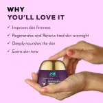 Joy Night Cream with Collagen, Jojoba, Shea Butter & Gotu Kola For Overnight Skin Repair view 4