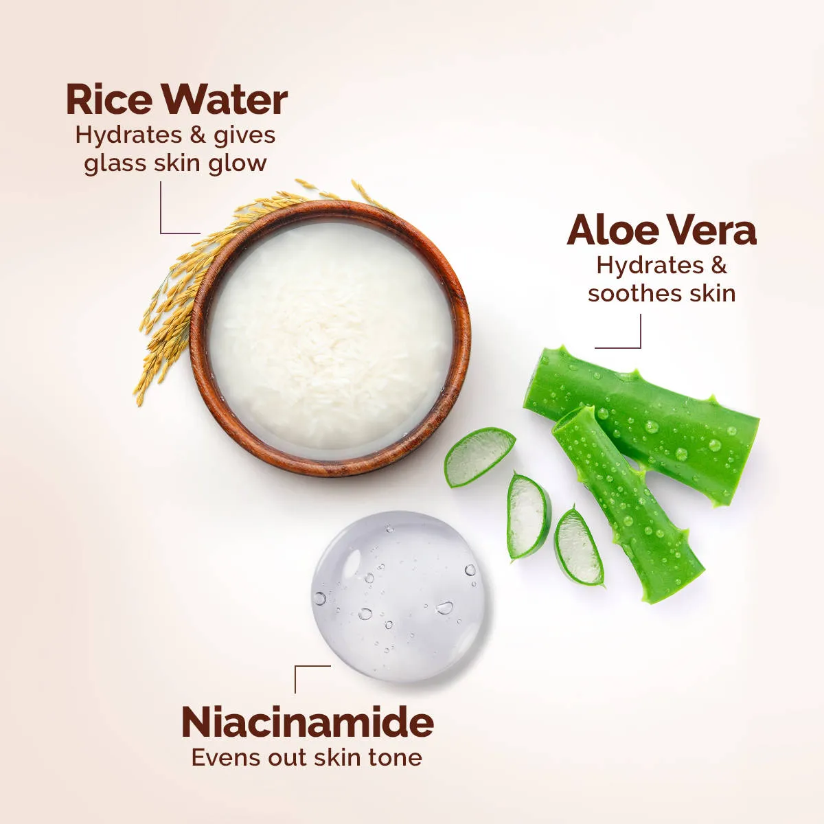 Mamaearth Rice Oil-Free Face Moisturizer For Oily Skin