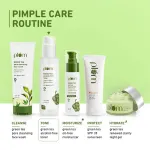 Plum Green Tea Alcohol-Free Face Toner view 7