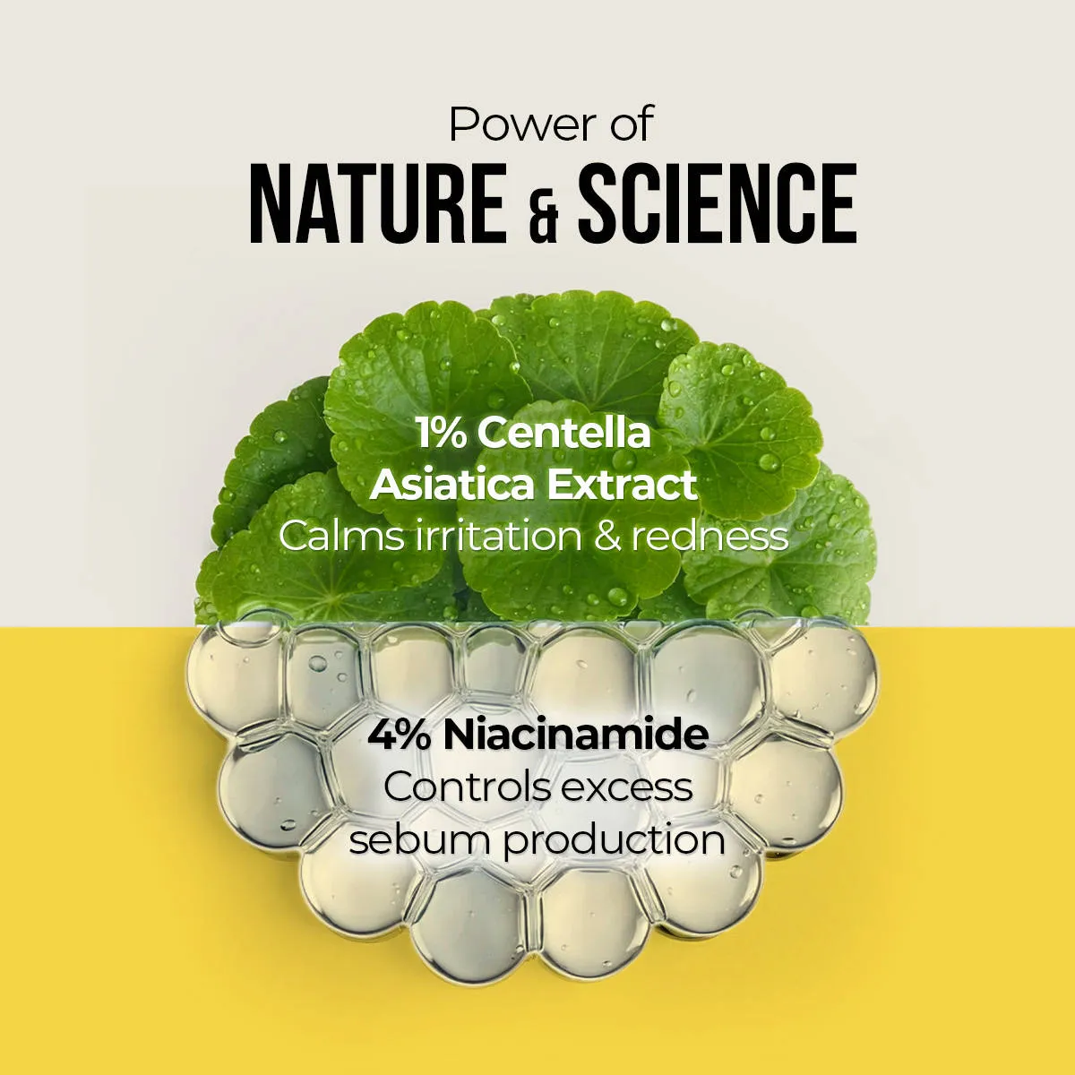 Dr. Sheth's Centella & Niacinamide Oil-Free Matte Sunscreen SPF 50+ PA++++