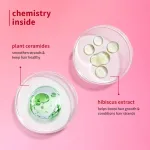 Plum Hibiscus & Ceramides Long & Healthy Shampoo For Smooth Hair view 2