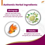 Himalaya Anti-Hair Fall Shampoo With Bhringraja & Palasha view 4