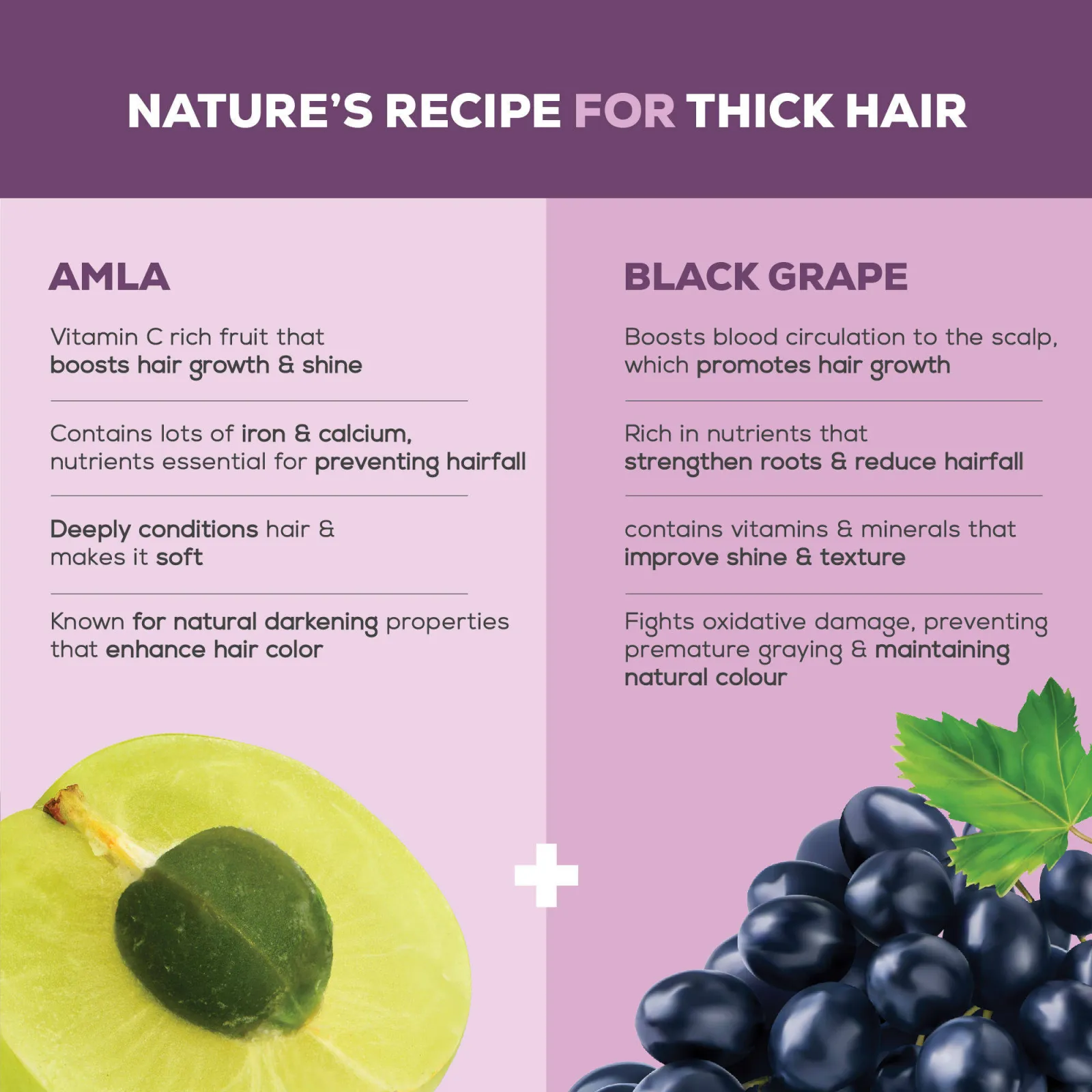 Joy Hair Fruits Shining Black Conditioning Shampoo