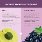 Joy Hair Fruits Shining Black Conditioning Shampoo view 3