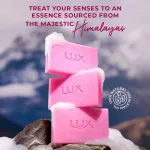 Lux Essence Of Himalayas Rose & Aloe Vera Exfoliating Soap - Pack Of 5 view 5