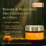 Himalaya Ayurveda Secrets Ghee Honey Lip Balm view 3