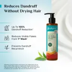 Pilgrim Scalp Care Duo Tea tree Non-Drying Anti-Dandruff Shampoo and Advance Hair Growth Serum view 2