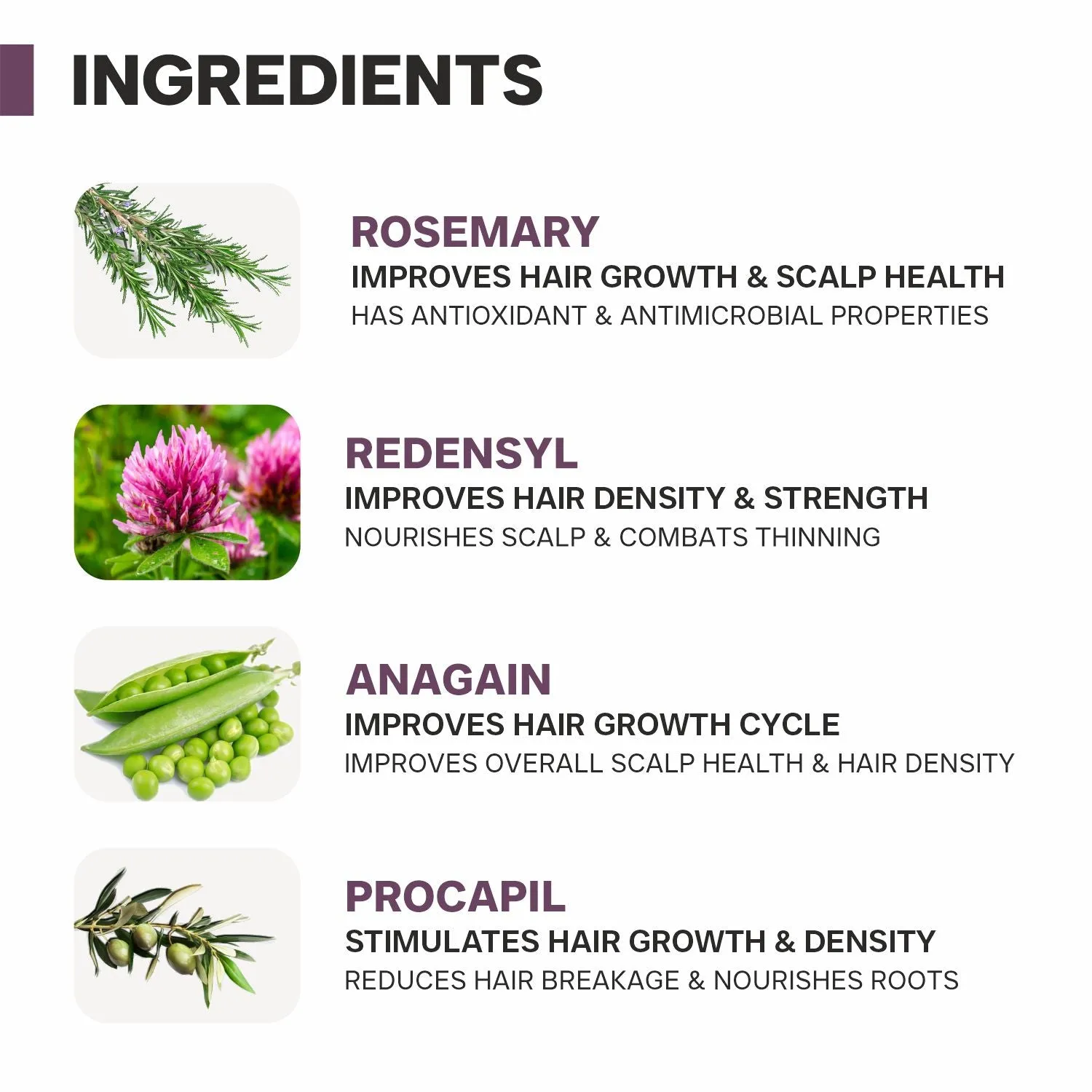 Dermatouch Actives 2% Rosemary Water for Early Hair Fall & Reduced Hair Volume
